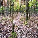 Boundary Marker Blaze, PA, 10/06/12