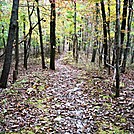 Boundary Marker Blaze, PA, 10/06/12