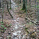 A.T. Ascent Of Center Point Knob, PA, 10/06/12 by Irish Eddy in Views in Maryland & Pennsylvania