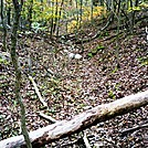 A.T. Ascent Of Center Point Knob, PA, 10/06/12 by Irish Eddy in Views in Maryland & Pennsylvania