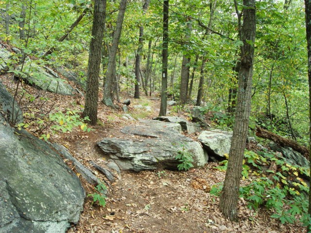 A.T. On Rocky Ridge, PA, 09/02/12