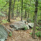 A.T. On Rocky Ridge, PA, 09/02/12