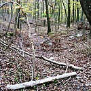 A.T. Ascent Of Center Point Knob, PA, 10/06/12