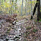 A.T. Ascent Of Center Point Knob, PA, 10/06/12 by Irish Eddy in Views in Maryland & Pennsylvania