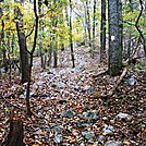 A.T. Ascent Of Center Point Knob, PA, 10/06/12 by Irish Eddy in Views in Maryland & Pennsylvania