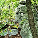 A.T. On Rocky Ridge, PA, 09/02/12 by Irish Eddy in Views in Maryland & Pennsylvania