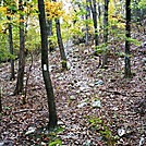 A.T. Ascent Of Center Point Knob, PA, 10/06/12 by Irish Eddy in Views in Maryland & Pennsylvania