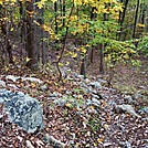 A.T. Ascent Of Center Point Knob, PA, 10/06/12 by Irish Eddy in Views in Maryland & Pennsylvania