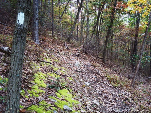 A.T. Ascent Of Center Point Knob, PA, 10/06/12