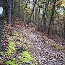 A.T. Ascent Of Center Point Knob, PA, 10/06/12