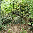 A.T. On Rocky Ridge, PA, 09/02/12 by Irish Eddy in Views in Maryland & Pennsylvania