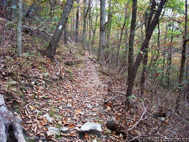 A.T. Ascent Of Center Point Knob, PA, 10/06/12