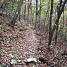 A.T. Ascent Of Center Point Knob, PA, 10/06/12