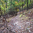 A.T. Ascent Of Center Point Knob, PA, 10/06/12 by Irish Eddy in Views in Maryland & Pennsylvania