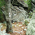 A.T. On Rocky Ridge, PA, 09/02/12 by Irish Eddy in Views in Maryland & Pennsylvania