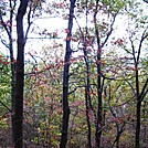 A.T. Ascent Of Center Point Knob by Irish Eddy in Views in Maryland & Pennsylvania