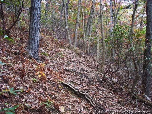 A.T. Ascent Of Center Point Knob, PA, 10/06/12