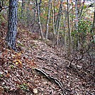 A.T. Ascent Of Center Point Knob, PA, 10/06/12 by Irish Eddy in Views in Maryland & Pennsylvania