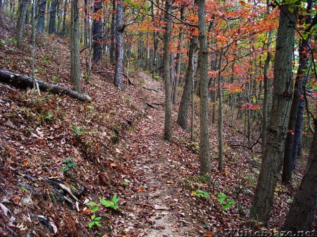 A.T. Ascent Of Center Point Knob, PA, 10/06/12