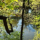 A.T. At Conodoguinet Creek, Cumberland Valley, PA, 09/27/13