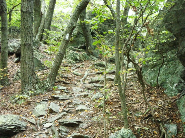 A.T. Descent From Rocky Ridge, PA, 09/02/12