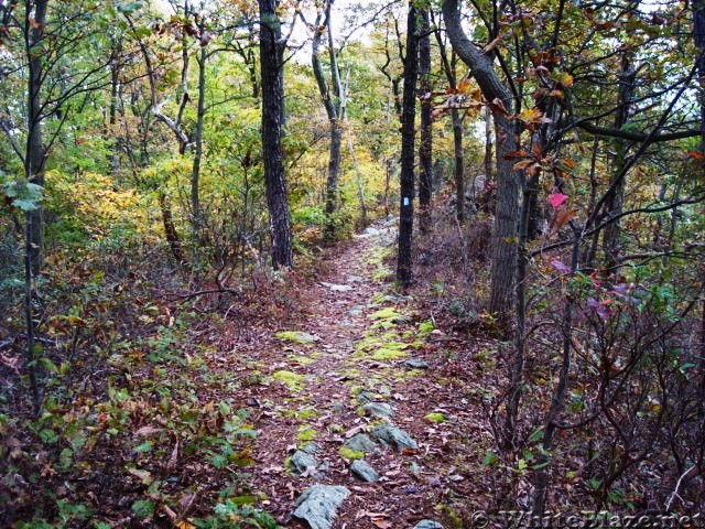 A.T. Junction With White Rocks Trail, PA, 10/06/12