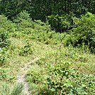 Power Line Crossing North of Baltimore Pike, PA, 08/07/11