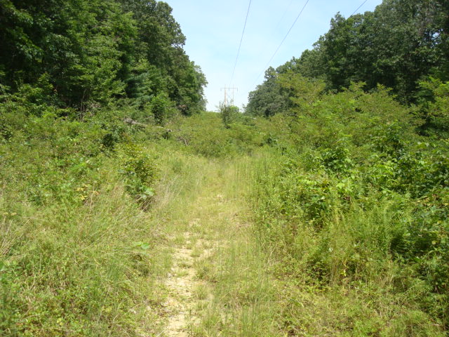 Power Line Crossing North of Baltimore Pike, PA, 08/08/11