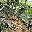 A.T. Decent From Rocky Ridge, PA, 09/02/12