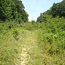 Power Line Crossing North of Baltimore Pike, PA, 08/08/11 by Irish Eddy in Views in Maryland & Pennsylvania