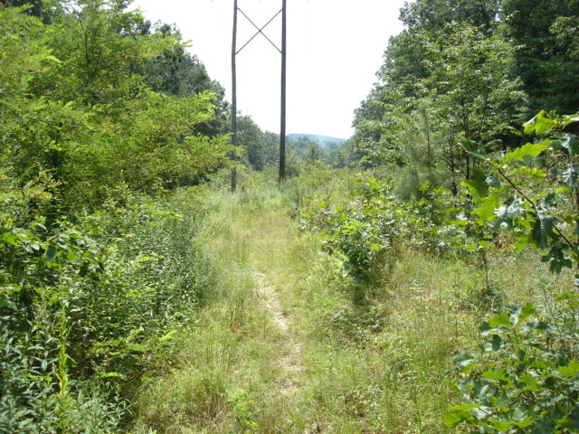 Power Line Crossing North of Baltimore Pike, PA, 08/07/11