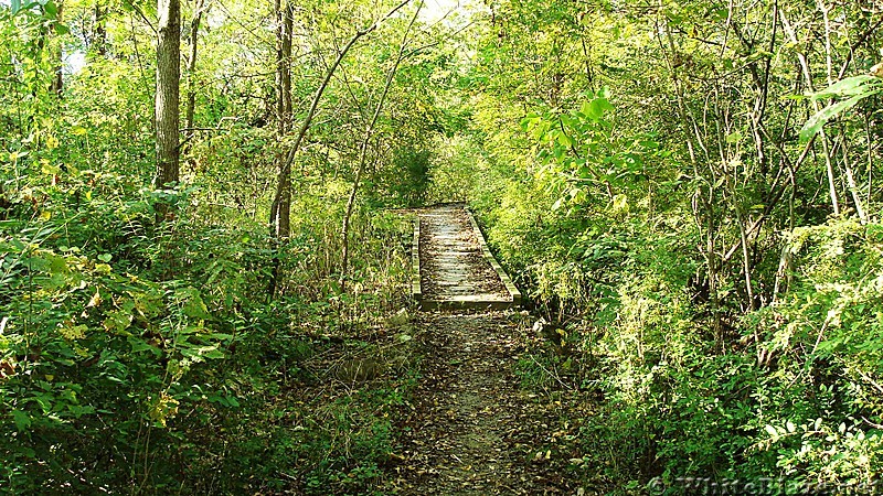 A.T. Boardwalk At Conodoguinet Creek, Cumberland Valley, PA, 09/27/13