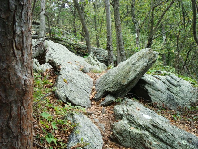 A.T. Descent From Rocky Ridge, PA, 09/02/12