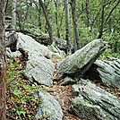 A.T. Descent From Rocky Ridge, PA, 09/02/12 by Irish Eddy in Views in Maryland & Pennsylvania