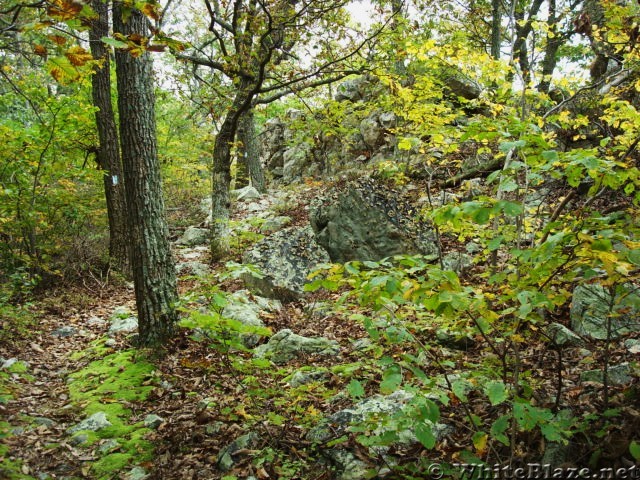 A.T. Junction With The White Rocks Trail, PA, 10/06/12