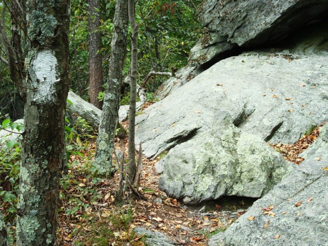 A.T. Descent From Rocky Ridge, PA, 09/02/12