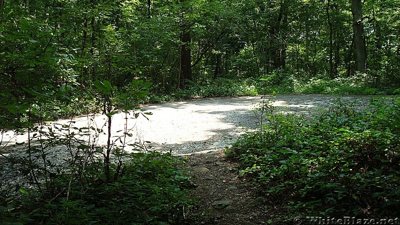 A.T. North of Appalachian Drive, Cumberland Valley, PA, 08/11/13