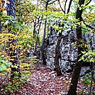 A.T. Junction With White Rocks Trail, PA, 10/06/12