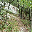 A.T. Descent From Rocky Ridge, PA, 09/02/12 by Irish Eddy in Views in Maryland & Pennsylvania