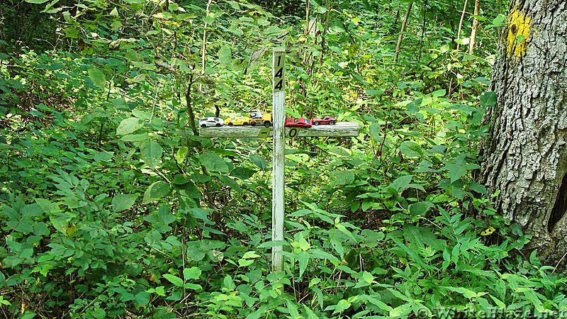 A.T. Crossing At Appalachian Drive, Cumberland Valley, PA, 08/11/13