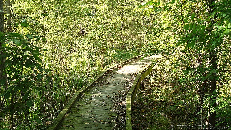 A.T. Boardwalk At Conodoguinet Creek, Cumberland Valley, PA, 09/27/13