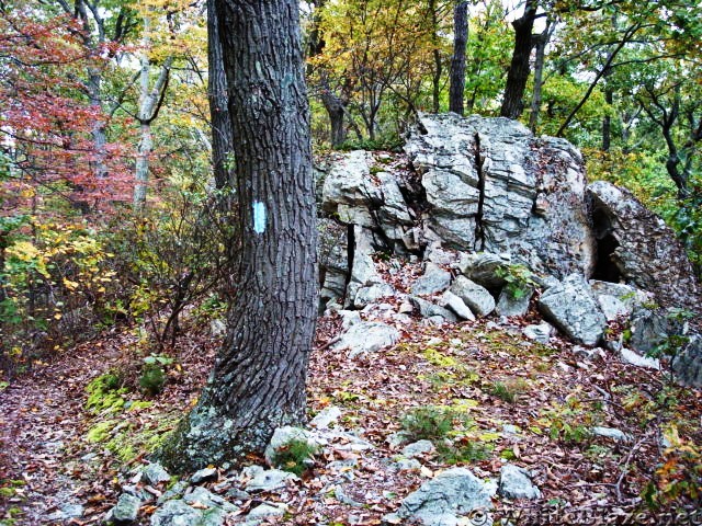 A.T. Junction With White Rocks Trail, PA, 10/06/12