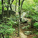 A.T. Descent From Rocky Ridge, PA, 09/02/12 by Irish Eddy in Views in Maryland & Pennsylvania