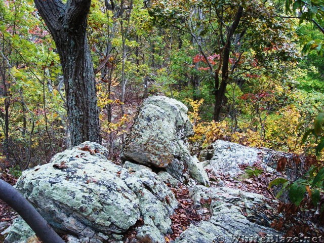 A.T. Junction With White Rocks Trail, PA, 10/06/12