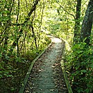 A.T. Boardwalk At Conodoguinet Creek, Cumberland Valley, PA, 09/27/13 by Irish Eddy in Views in Maryland & Pennsylvania