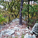 A.T. Junction With White Rocks Trail, PA, 10/06/12