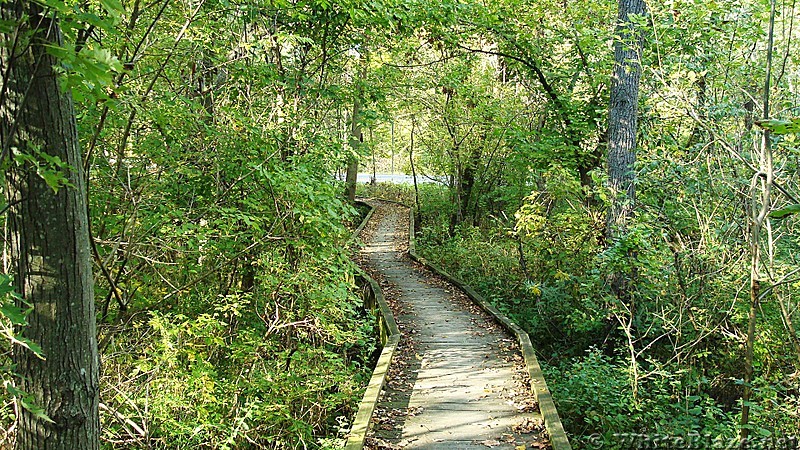 A.T. Crossing At Conodoguinet Creek, Cumberland Valley, PA, 09/27/13