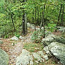 A.T. Descent From Rocky Ridge, PA, 09/02/12