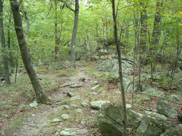 A.T. Descent From Rocky Ridge, PA, 09/02/12