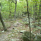 A.T. Descent From Rocky Ridge, PA, 09/02/12